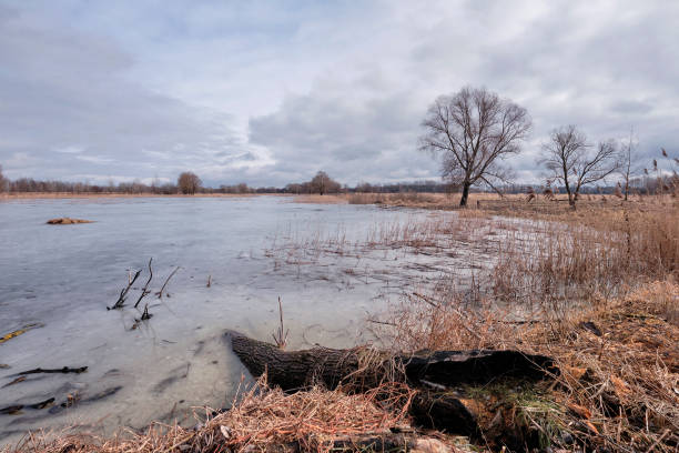 istock The spring lake on the field 1469791433