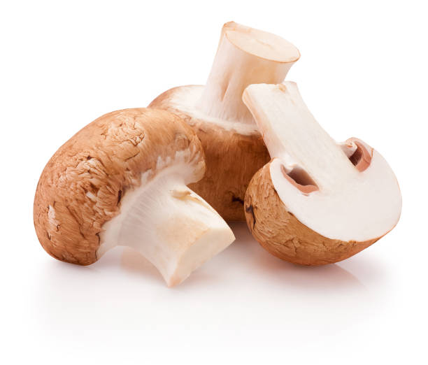 funghi champignon freschi interi e affettati isolati su sfondo bianco - edible mushroom white mushroom isolated white foto e immagini stock