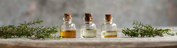 istock Bottles of thyme essential oil with fresh thyme - panoramic header 1469796337