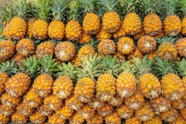 istock Fresh pineapples in the market 1469796739