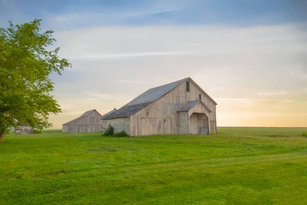 istock Old Weathered Barn-Tipton County, Indiana 1469798910