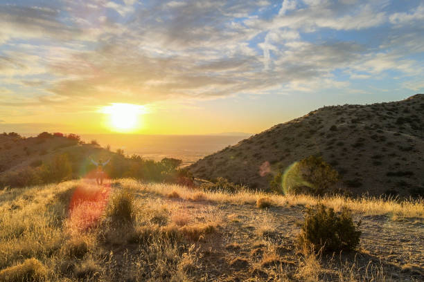 istock joyful hiking middle aged man majestic mountain sunset 1469799778