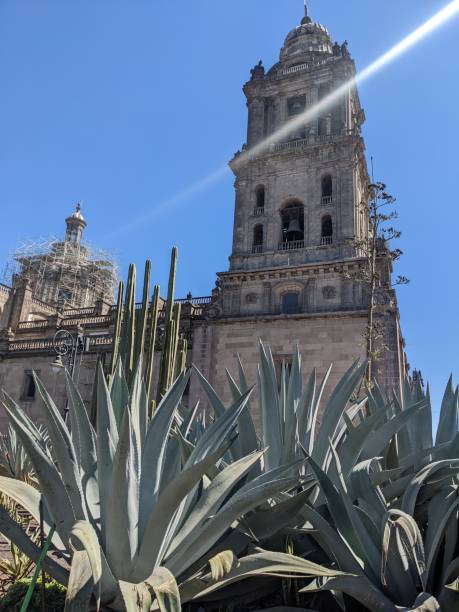 istock CDMX Mexico City El Df 1469799860