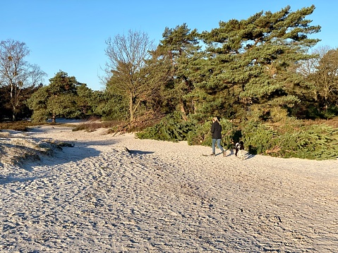 Brunssum, Netherlands - February 23, 2023. People walking with there dogs on a cold Sunday in the heat area cold Brunssummerheide.
