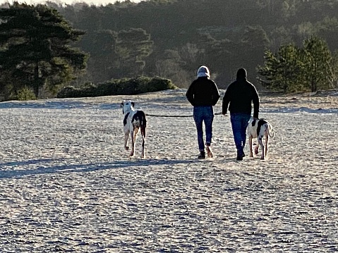 Brunssum, Netherlands - February 23, 2023. People walking with there dogs on a cold Sunday in the heat area cold Brunssummerheide.