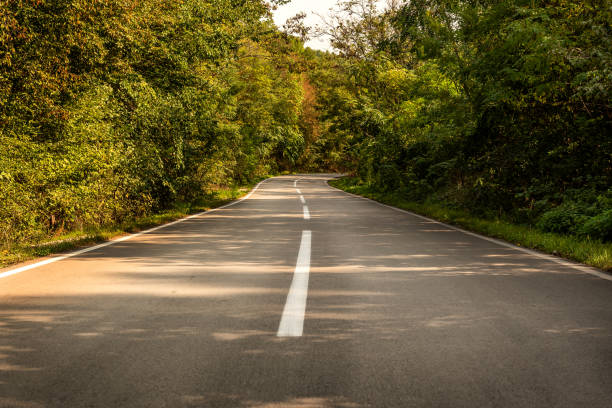 istock Country road with trees 1469801360