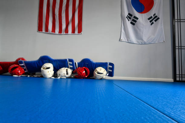 open martial arts gym - padding tae kwon do helmet karate stock-fotos und bilder