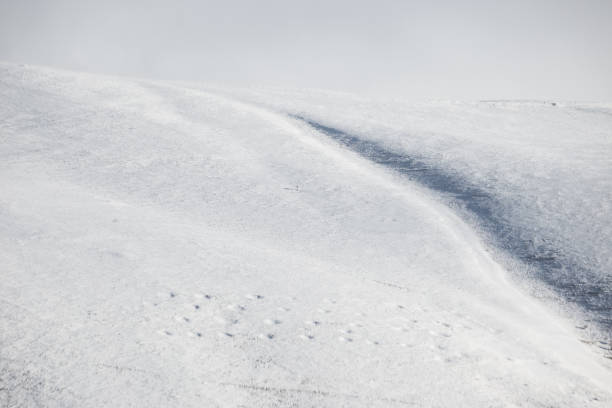 istock Minimalistic, almost empty view of snow in the mountains, with some barely visible footprints 1469804158