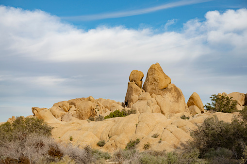 This is a photograph of a large rock formation with Joshua Trees growing nearby in the desert landscape of the California national park in spring.
