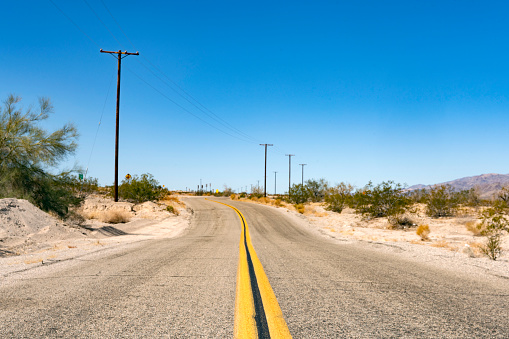 This is a photograph of an empty scenic road through the Joshua tree desert landscape in the California national park on a spring day.