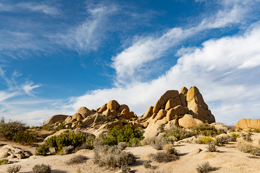 This is a photograph of a large rock formation with Joshua Trees growing nearby in the desert landscape of the California national park in spring.