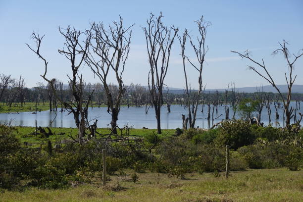 istock Kenya - Lake Naivasha - Crescent Island 1469806945