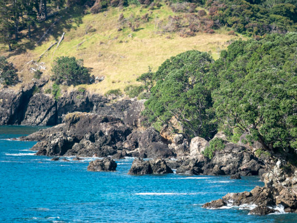 istock New Zealand coastline in a sunny day 1469808708