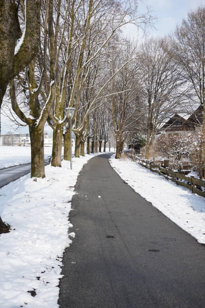 istock Paved path for walking between the trees. Walking path in winter. Snow-covered fields and an alley for walking between trees. Walking path along the alley in winter. 1469808933