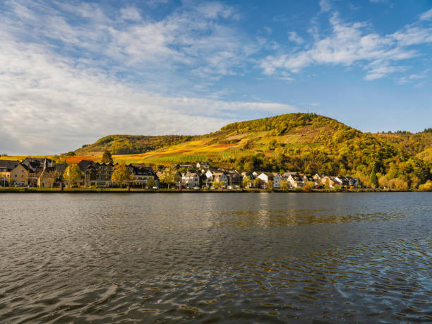 istock Ellenz-Poltersdorf colourful village Vineyards during fall on Moselle river in Cochem-Zell district, Germany 1469809857