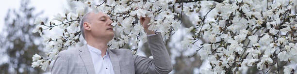 4x1-banner für soziale netzwerke oder eine website. ein gutaussehender lächelnder mann vor dem hintergrund einer weiß blühenden magnolie - 45 hochzeitstag stock-fotos und bilder
