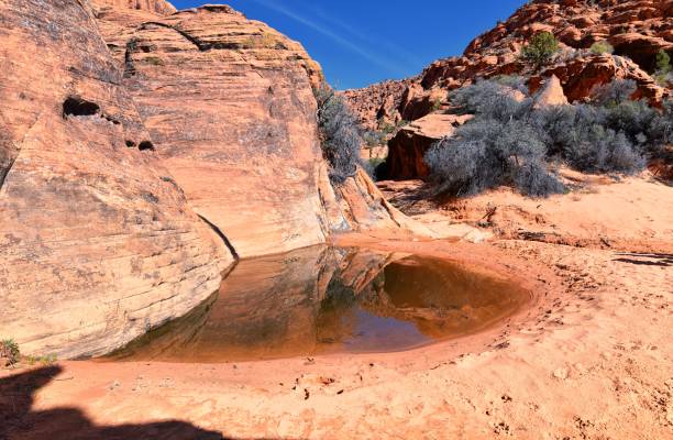 istock Snow Canyon State Park Red Sands views from hiking trail  Cliffs National Conservation Area Wilderness St George, Utah, United States. 1469811238