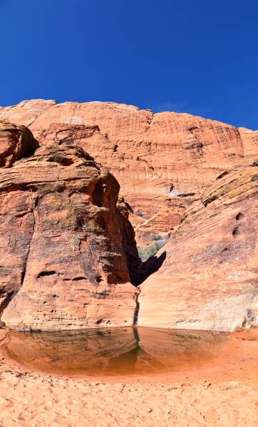 istock Snow Canyon State Park Red Sands views from hiking trail  Cliffs National Conservation Area Wilderness St George, Utah, United States. 1469811271