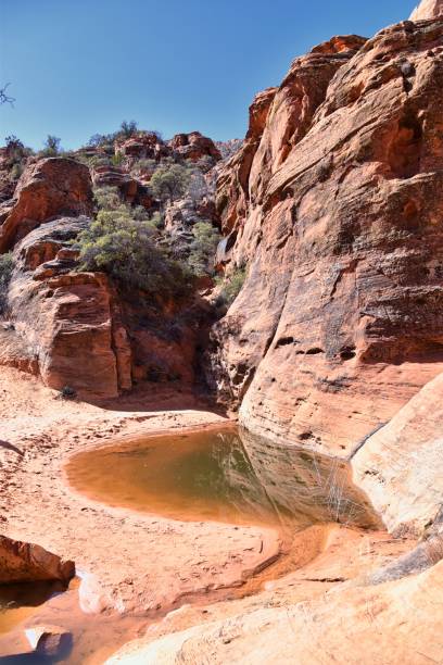 istock Snow Canyon State Park Red Sands views from hiking trail  Cliffs National Conservation Area Wilderness St George, Utah, United States. 1469811792