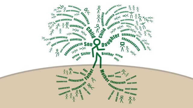 Family Tree grows branches and roots in relation to one person perspective