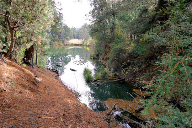istock Harrietville, Victoria, Australia 1469814829