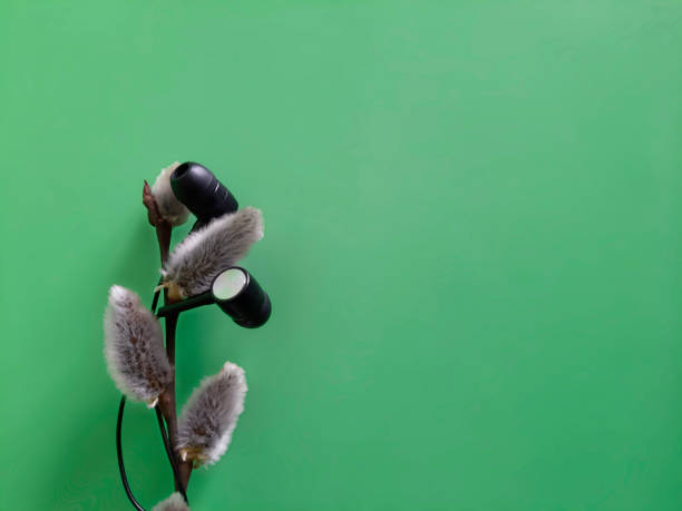 istock Spring music. Defocused abstract background with copy space. Inspiration and art concept. 1469816008