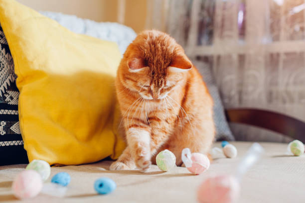 istock Ginger cat playing with Easter eggs at home. Pet having fun on couch. Spring holiday symbol 1469818873