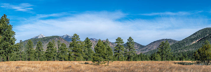 The San Francisco Peaks are the remnants of an ancient volcano that erupted millions of years ago, shattering a large mountain and leaving a large crater and surrounding peaks. The tallest of these are Humphreys at 12,637 feet and Agassiz at 12,356 feet.  This picture of the snow-capped peaks was taken from the Arizona Trail which runs through Buffalo Park in Flagstaff, Arizona, USA.