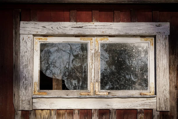 A close up of a window belonging a abandoned building