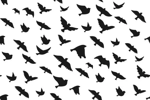 Vector illustration of Bird dove silhouette shape seamless pattern trendy fowl sparrow dove boundless wallpaper art texture