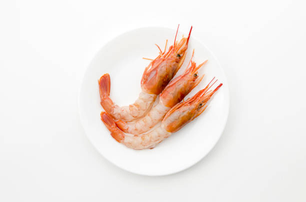 Fresh Ebi Sashimi (Botan shrimp) , Japanese Food