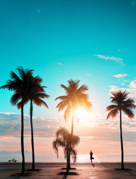 sunrise view over the atlantic ocean in Copacabana with silhouette of palm trees and a woman in yoga pose on the beach against light stock photo