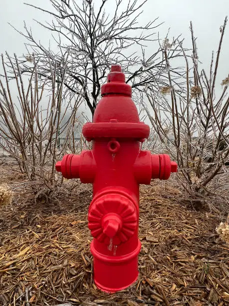 Photo of Ice frozen onto a Red Fire Hydrant