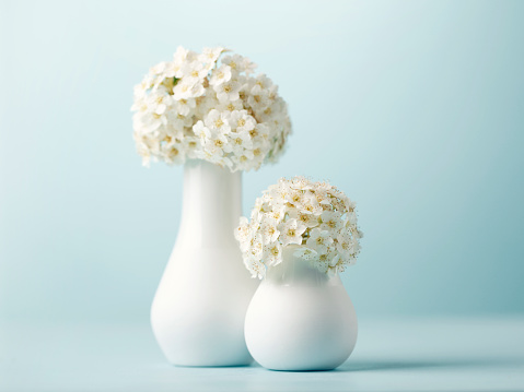 Two little white vase with white flowers