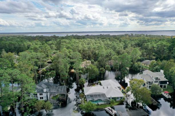 istock Flooding on Stone Island 1469861159
