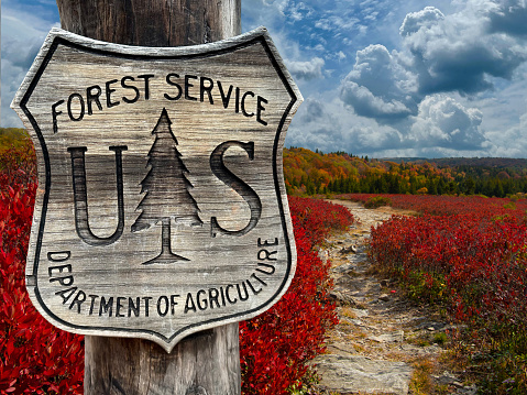 Department of Agriculture, USDA