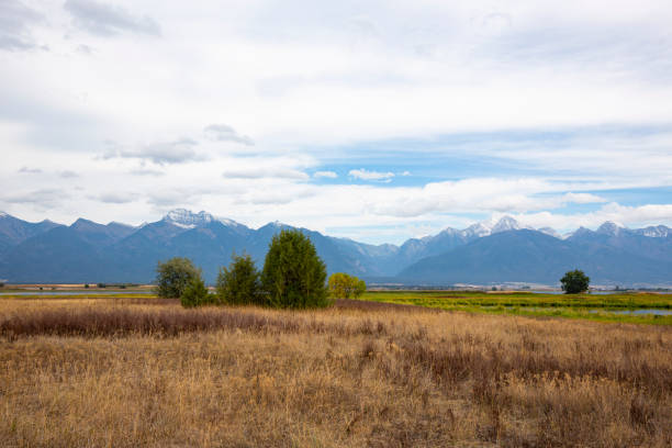 malowniczy widok na rezerwat bison range w montanie - mountain montana mountain peak mountain range zdjęcia i obrazy z banku zdjęć