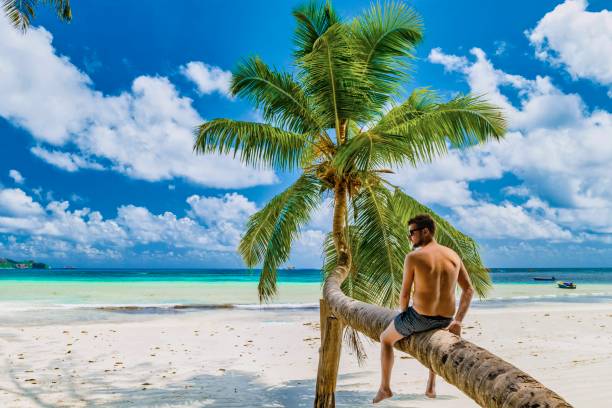 istock young men sitting at a palm tree on a white tropical beach Anse Volbert beach Praslin Seychelles 1469869567