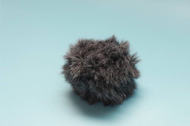 istock a close up of a cat fur shaped microphone silencer 1469876954
