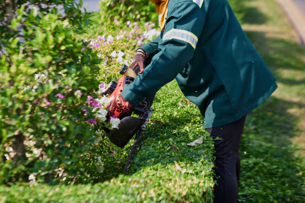 istock Worker in protective clothing with a lawn mower in hands 1469884824