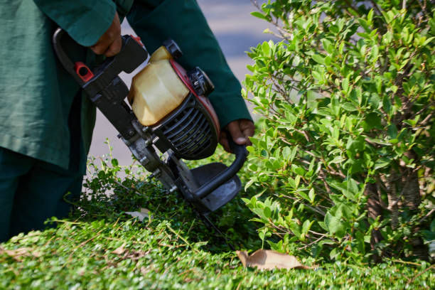 istock Worker in protective clothing with a lawn mower in hands 1469884825