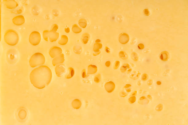 istock Texture of Radomer cheese close-up on a black background 1469887096
