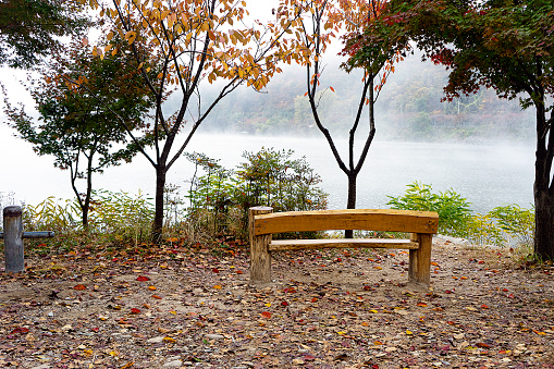 Colorfully autumn park in Furano City Hokkaido Japan