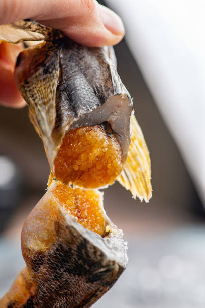 istock Salted dried goby fish. Fish appetizer for beer 1469893137