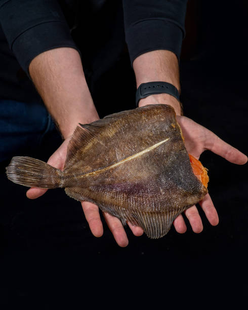 istock Salted dried flounder. Fish appetizer for beer 1469893178