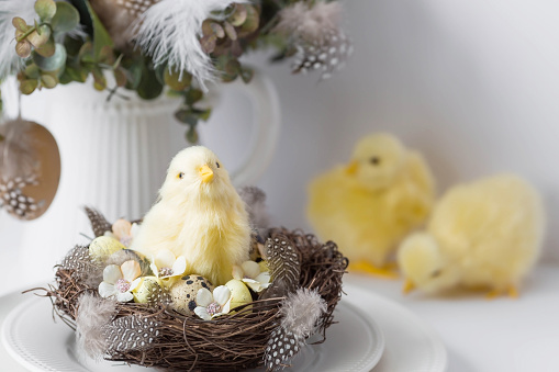 Banner. The concept of a bright Easter holiday. A bouquet of flowers with feathers, yellow chickens and Easter quail eggs in a plate on a white isolated background. Beautiful Easter card.