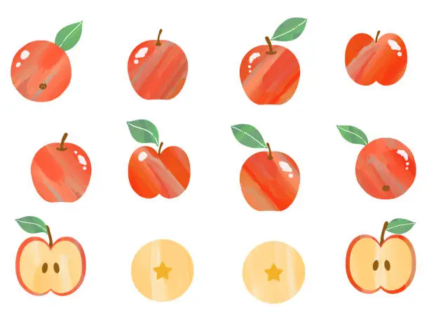 Vector illustration of Hand drawn red apple isolated on white background. Vector illustration in retro style.