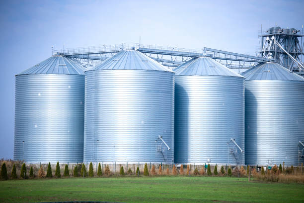 istock Farm silos building and food storage. 1469900150