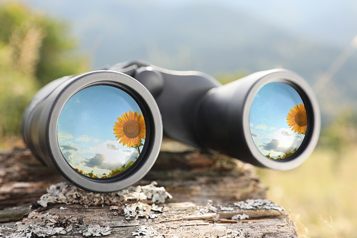 Binoculars on wooden log outdoors, closeup. Sunflower reflecting in lenses