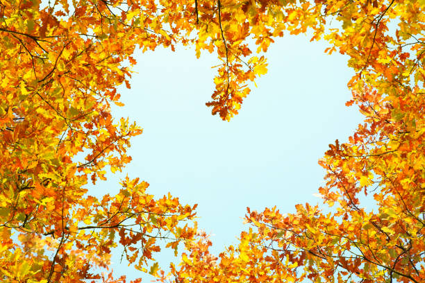 istock Sky visible through heart shaped gap formed of autumn trees crowns, bottom view 1469901095